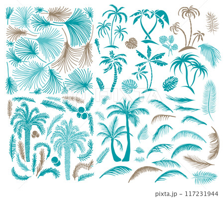Sketch tropical palm trees. Hand drawn vintage Hawaii beach palms, Set of palm trees and palm leaves . Hand drawing. Not AI, Vector illustration. 117231944