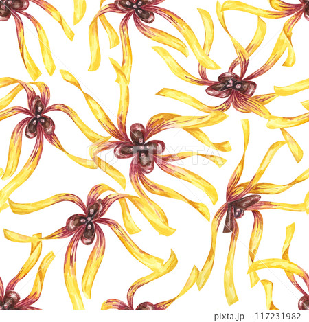 Yellow hamamelis flowers seamless pattern. Witch hazel vibrant floral textile, cosmetics packaging clipart. Botanical print for kitchen, curtains, home textile, herbal medicine, natural remedy labels 117231982