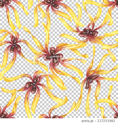 Yellow hamamelis flowers seamless pattern. Witch hazel vibrant floral textile, cosmetics packaging clipart. Botanical print for kitchen, curtains, home textile, herbal medicine, natural remedy labels 117231982