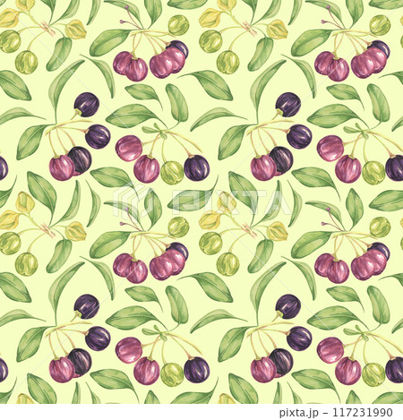 Maqui berry, purple pink fruit seamless pattern with leaves. Aristotelia chilensis textile watercolor ornament clipart. Vibrant Chilean wineberry print for clothing, paper, scrapbooking, wallpaper 117231990