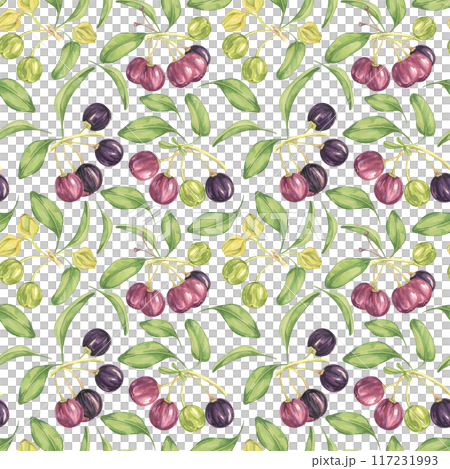 Maqui berry, purple pink fruit seamless pattern with leaves. Aristotelia chilensis textile watercolor ornament clipart. Vibrant Chilean wineberry print for clothing, paper, scrapbooking, wallpaper 117231993