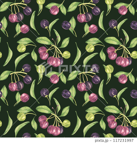 Maqui berry, purple pink fruit seamless pattern with leaves. Aristotelia chilensis textile watercolor ornament clipart. Vibrant Chilean wineberry print for clothing, paper, scrapbooking, wallpaper 117231997
