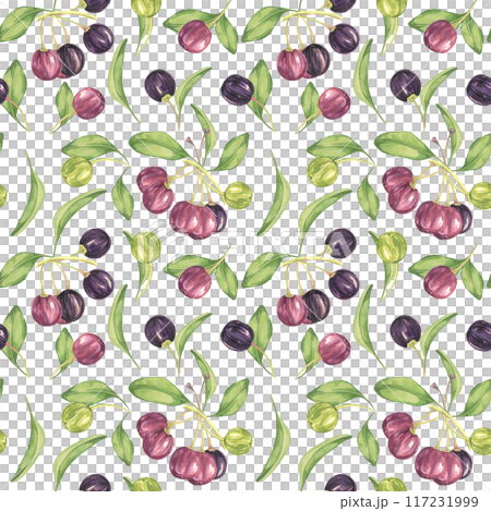 Maqui berry, purple pink fruit seamless pattern with leaves. Aristotelia chilensis textile watercolor ornament clipart. Vibrant Chilean wineberry print for clothing, paper, scrapbooking, wallpaper 117231999