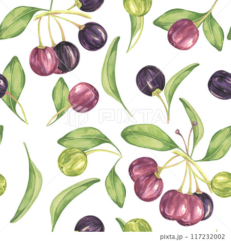 Maqui berry, purple pink fruit seamless pattern with leaves. Aristotelia chilensis textile watercolor ornament clipart. Vibrant Chilean wineberry print for clothing, paper, scrapbooking, wallpaper 117232002