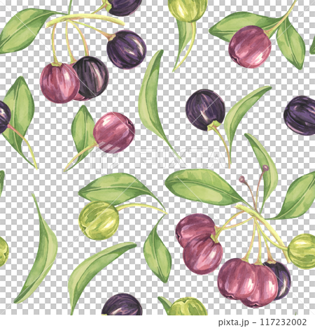 Maqui berry, purple pink fruit seamless pattern with leaves. Aristotelia chilensis textile watercolor ornament clipart. Vibrant Chilean wineberry print for clothing, paper, scrapbooking, wallpaper 117232002