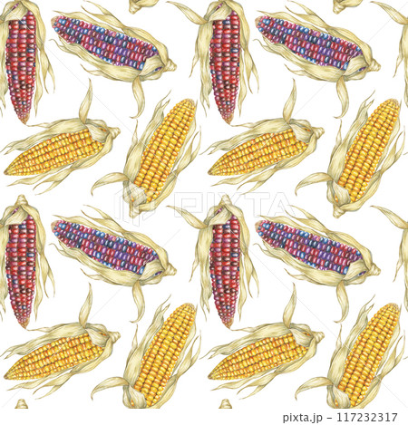Indian heirloom and Yellow sweetcorn cobs seamless pattern, dry husks watercolor background. Maize fabric print for clothes, kitchen, wallpaper, wrapping, scrapbooking, food packaging, Thanksgiving Indian heirloom and Yellow sweetcorn cobs seamless pattern, dry husks watercolor background. Maize fabric print for clothes, kitchen, wallpaper, wrapping, scrapbooking, food packaging, Thanksgiving 117232317