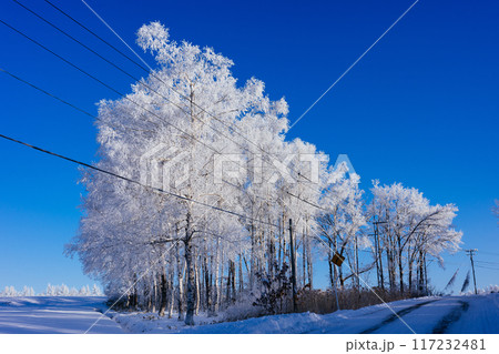 霧氷と青空 117232481