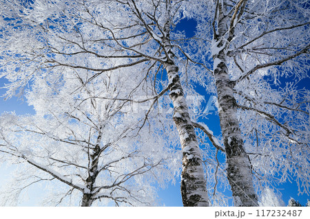 霧氷と青空 霧氷と青空 117232487
