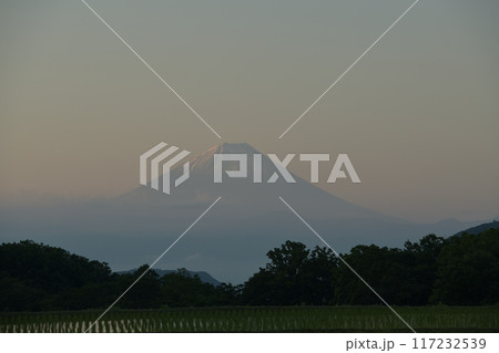 北杜市長坂町から見る夏の朝の富士山 117232539
