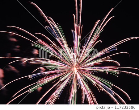 夏の風物詩・戸田橋いたばし花火大会の単打ち 117232586