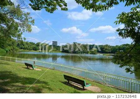 長居公園　大池 117232648