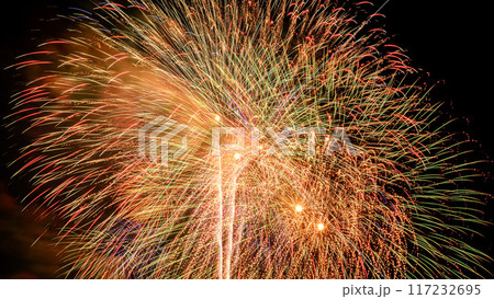戸田橋花火大会・いたばし花火大会のスターマイン 117232695