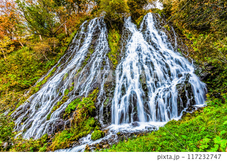 北海道 オシンコシンの滝　秋 117232747