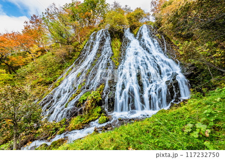 北海道 オシンコシンの滝　秋 117232750