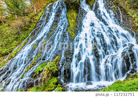 北海道 オシンコシンの滝　秋 117232751