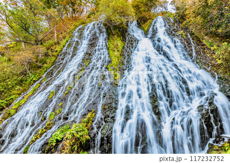 北海道 オシンコシンの滝　秋 117232752