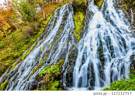 北海道 オシンコシンの滝　秋 117232757