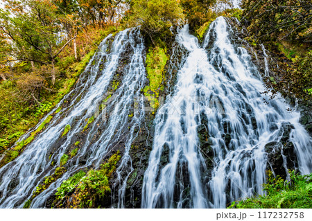 北海道 オシンコシンの滝　秋 117232758