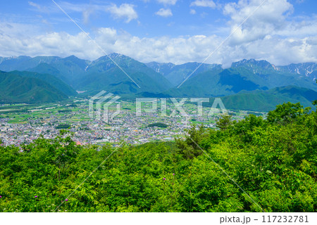 鷹狩山から大町市街地と北アルプスを望む【大町市】 鷹狩山から大町市街地と北アルプスを望む【大町市】 117232781