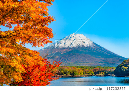 富士山と紅葉 ~精進湖・他手合浜~ 富士山と紅葉 ~精進湖・他手合浜~ 117232835