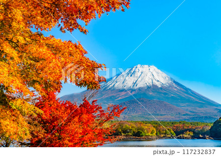 富士山と紅葉　～精進湖・他手合浜～ 117232837