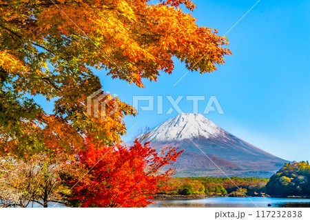 富士山と紅葉　～精進湖・他手合浜～ 117232838