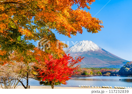 富士山と紅葉　～精進湖・他手合浜～ 117232839