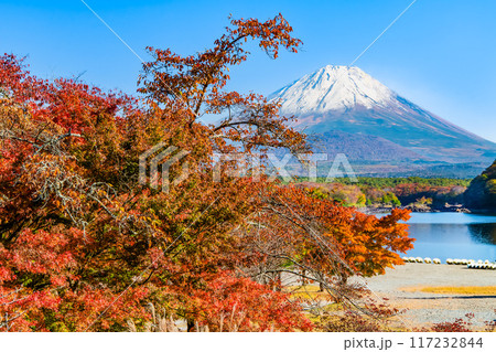 富士山と紅葉　～精進湖・他手合浜～ 117232844