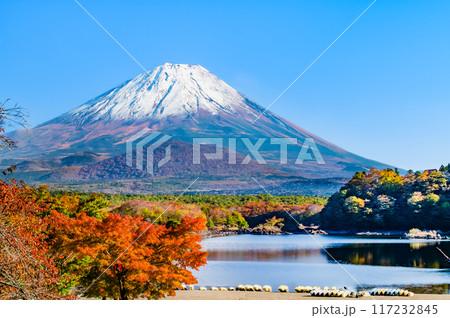 富士山と紅葉 ~精進湖・他手合浜~ 富士山と紅葉 ~精進湖・他手合浜~ 117232845
