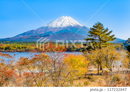 富士山と紅葉　～精進湖・他手合浜～ 117232847
