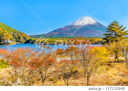 富士山と紅葉 ~精進湖・他手合浜~ 富士山と紅葉 ~精進湖・他手合浜~ 117232848