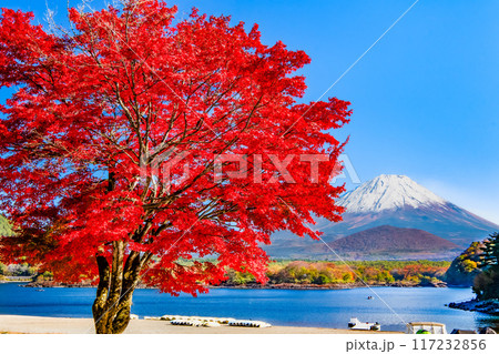 富士山と紅葉 ~精進湖・他手合浜~ 富士山と紅葉 ~精進湖・他手合浜~ 117232856