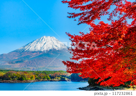 富士山と紅葉 ~精進湖・他手合浜~ 富士山と紅葉 ~精進湖・他手合浜~ 117232861