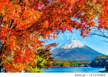 富士山と紅葉　～精進湖・他手合浜～ 117232864