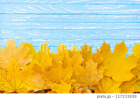 Autumn leaves frame on wooden background top view 117233830