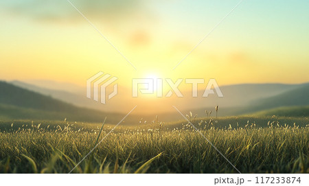 朝日の差し込む草原 117233874