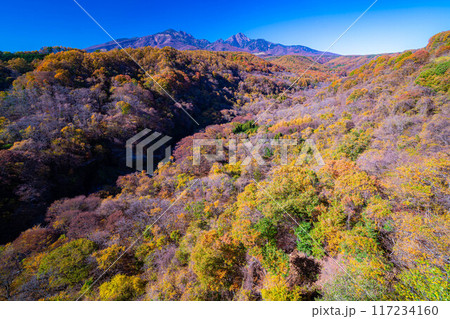 【秋素材】八ヶ岳大橋から見る紅葉時期の八ヶ岳と青空【山梨県】 117234160