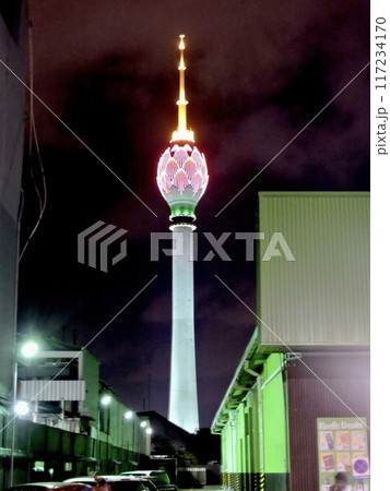 夜のロータスタワー 117234170