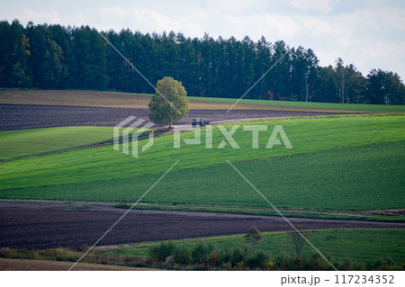 秋の陽の当たる畑 117234352