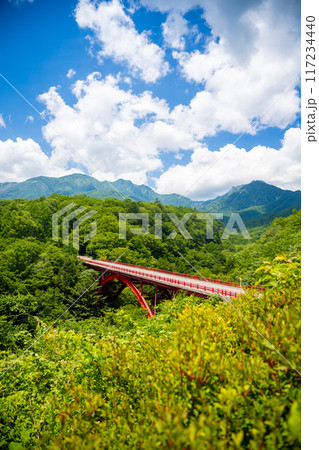 八ヶ岳高原ライン/東沢大橋(やつがたけこうげんらいん/ ひがしざわおおはし) 八ヶ岳高原ライン/東沢大橋(やつがたけこうげんらいん/ ひがしざわおおはし) 117234440
