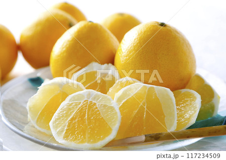 柑橘系小夏ちゃん 117234509