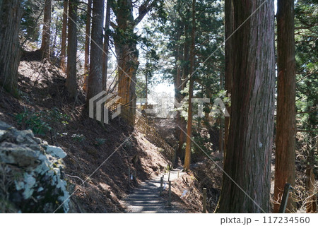 玉置神社・参道 117234560