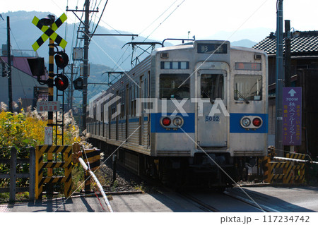 秩父鉄道：急行秩父路（ロングシート5000系電車代走） 117234742