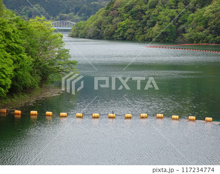 丹沢湖(神奈川県足柄上郡山北町) 丹沢湖(神奈川県足柄上郡山北町) 117234774