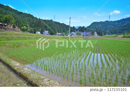田圃と寄り添う民家 初夏の田園風景 新潟県十日町市 田圃と寄り添う民家 初夏の田園風景 新潟県十日町市 117235101