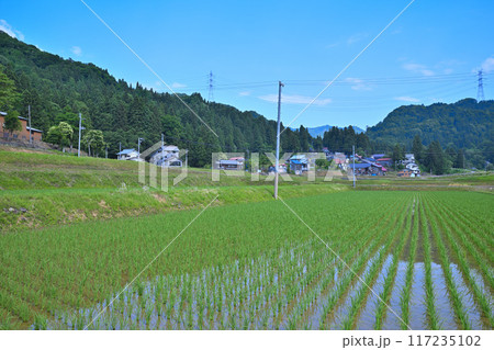 田圃と寄り添う民家 初夏の田園風景 新潟県十日町市 田圃と寄り添う民家 初夏の田園風景 新潟県十日町市 117235102