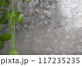 無機質とナチュラル 117235235