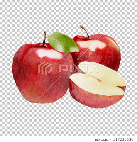 apple watercolor pictures on paper 117235539