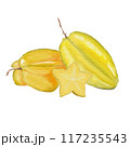 star apple watercolor pictures on paper 117235543
