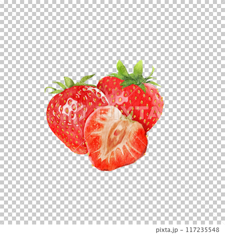 strawberry watercolor pictures on paper 117235548